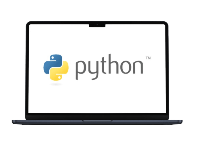Python Development services
