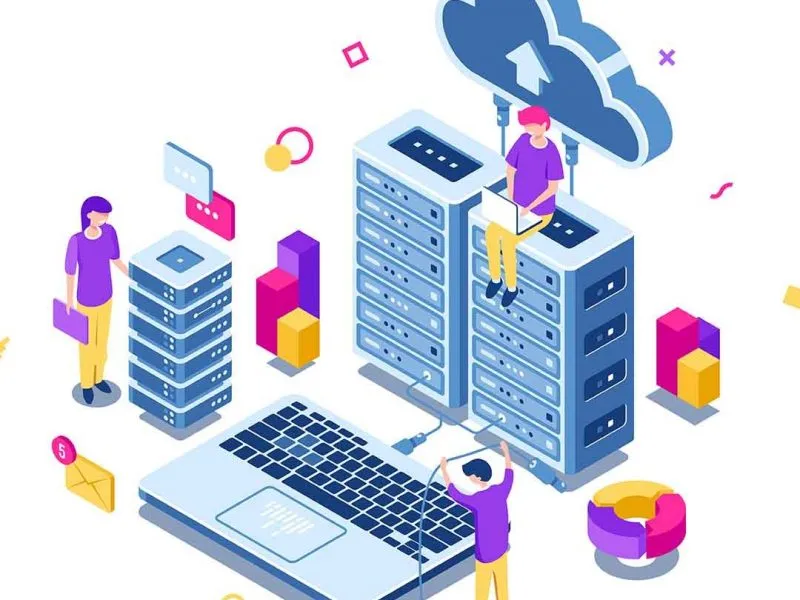 Why do organizations need a Database Management System